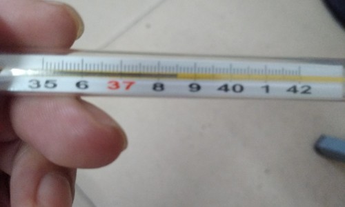 丝状角膜炎最佳治疗方法-丝状角膜炎会自愈吗专区_丝状角膜炎的症状及治疗专区_丝状角膜炎治疗效果分析网